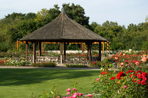 Botanischer Garten. Quelle: S. Kerpf/Stadt Augsburg