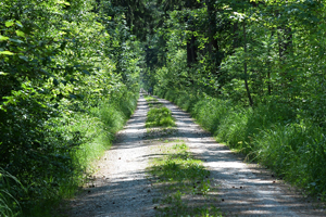 Foto: Siegfried Kerpf