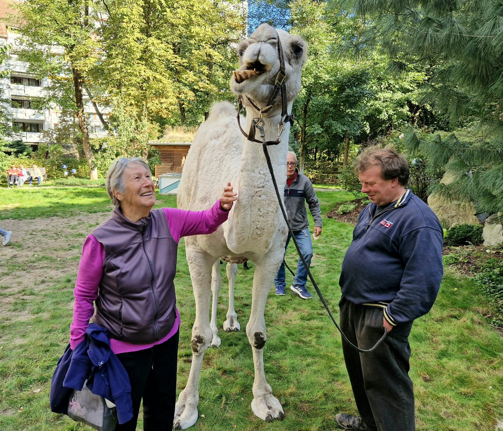 Auf dem Foto ist eine lächelnde ältere Frau, die ihre Hand zu einem Kamel ausstreckt. Das Kamel macht eine Grimasse. Daneben steht ein Mann, der den Führstrick des Kamels hält.