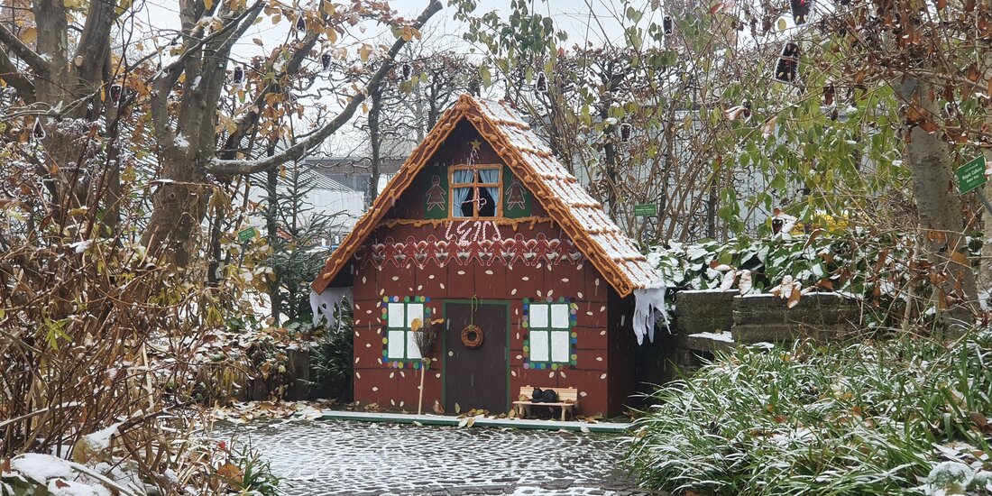 Märchenhafte Gartenmomente: Ein eingeschneites Hexenhäuschen im Botanischen Garten