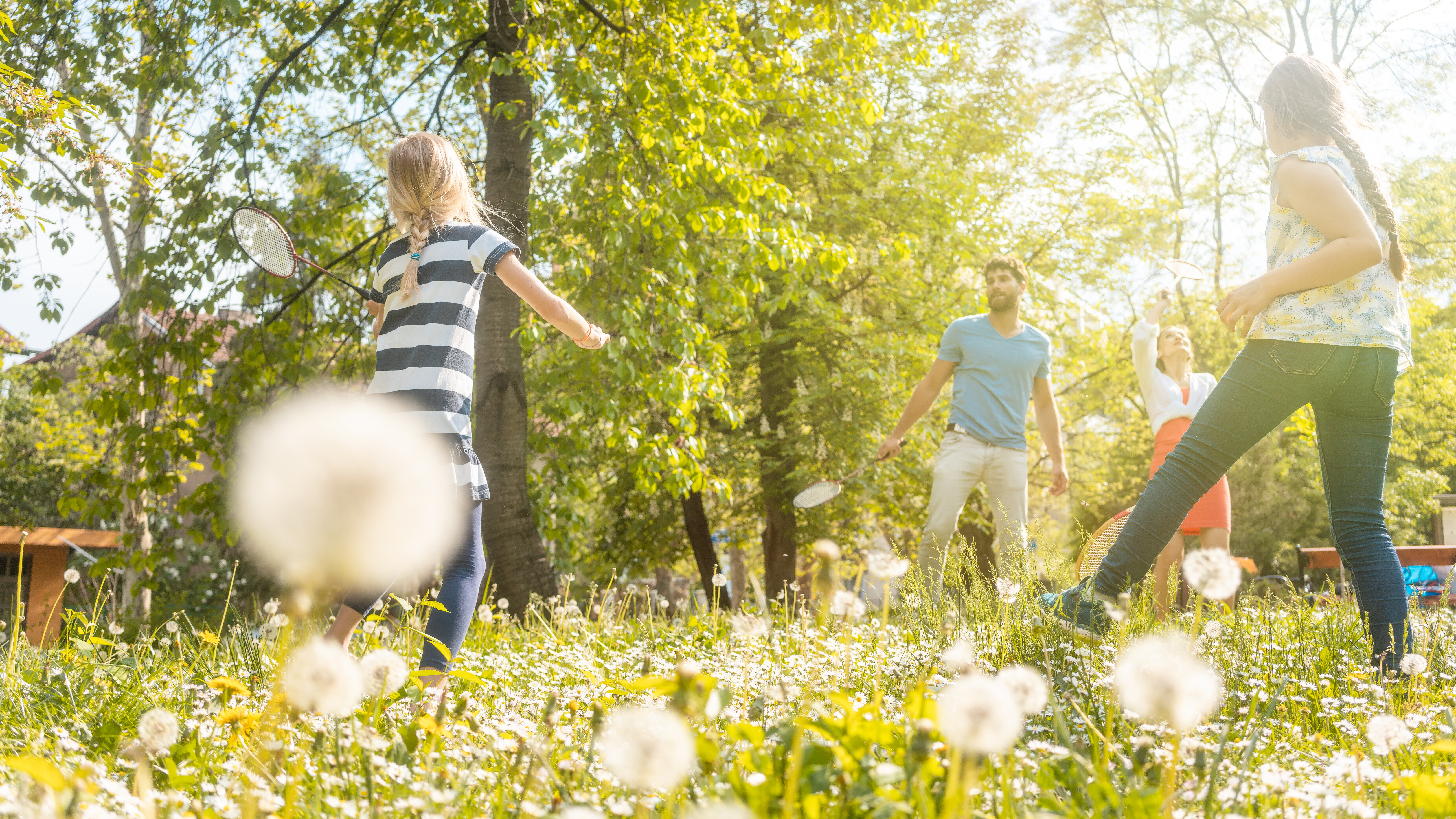 Vater-Mutter-Kind-Kind-Idyll: eine Familie spielt auf einer Wiese gemeinsam Ball, im Gras Pusteblumen