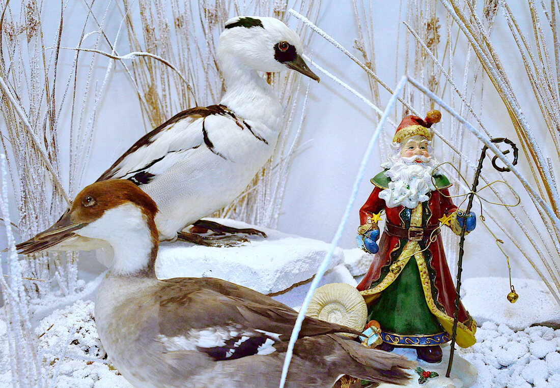 verschneite Landschaft mit Enten und dem Nikolaus