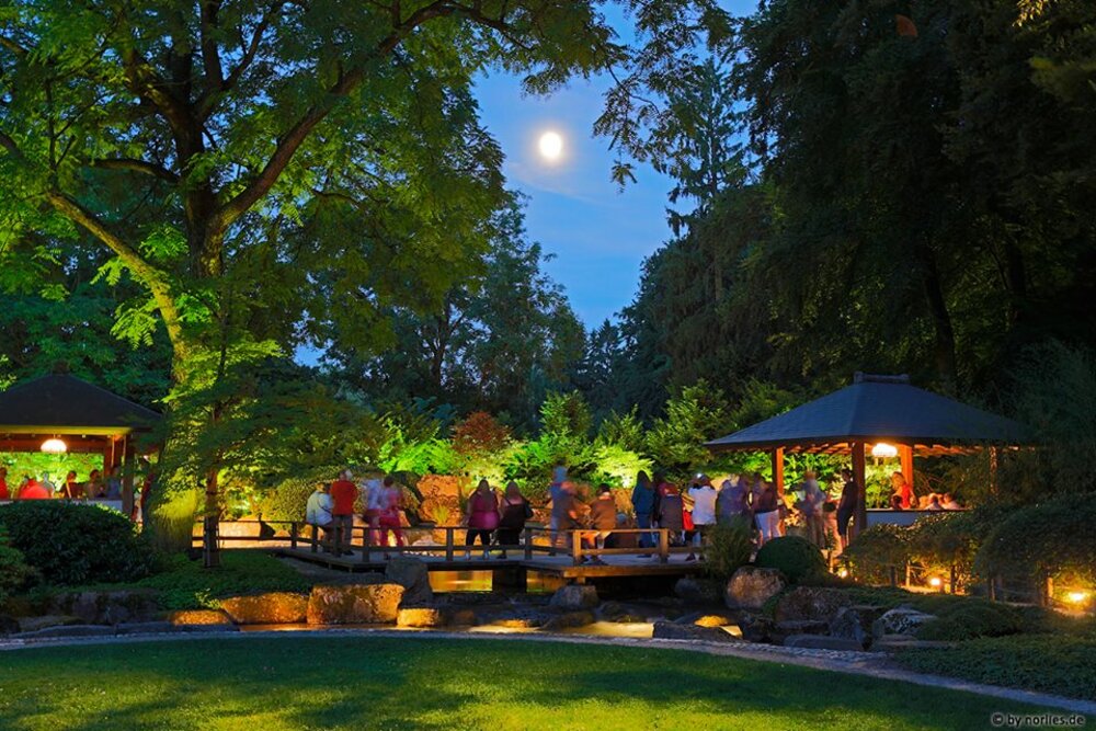 Während der Sommermonate lädt der Botanische Garten zu einem besonders romantischen Erlebnis ein: Vom 28. Juni bis zum 09. August jeweils samstags sowie am Donnerstag, den 14. August wird der Garten romantisch illuminiert und bleibt bis 24:00 Uhr geöffnet. 