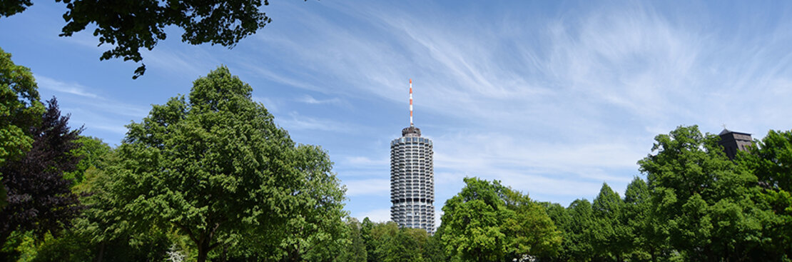 Stadtgrün. Foto: Ruth Plössel/Stadt Augsburg