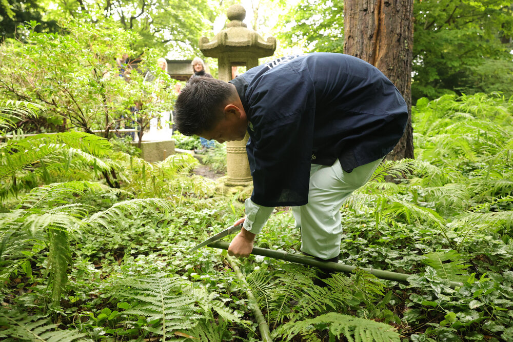 Ein Mensch steht gebückt im Japangarten
