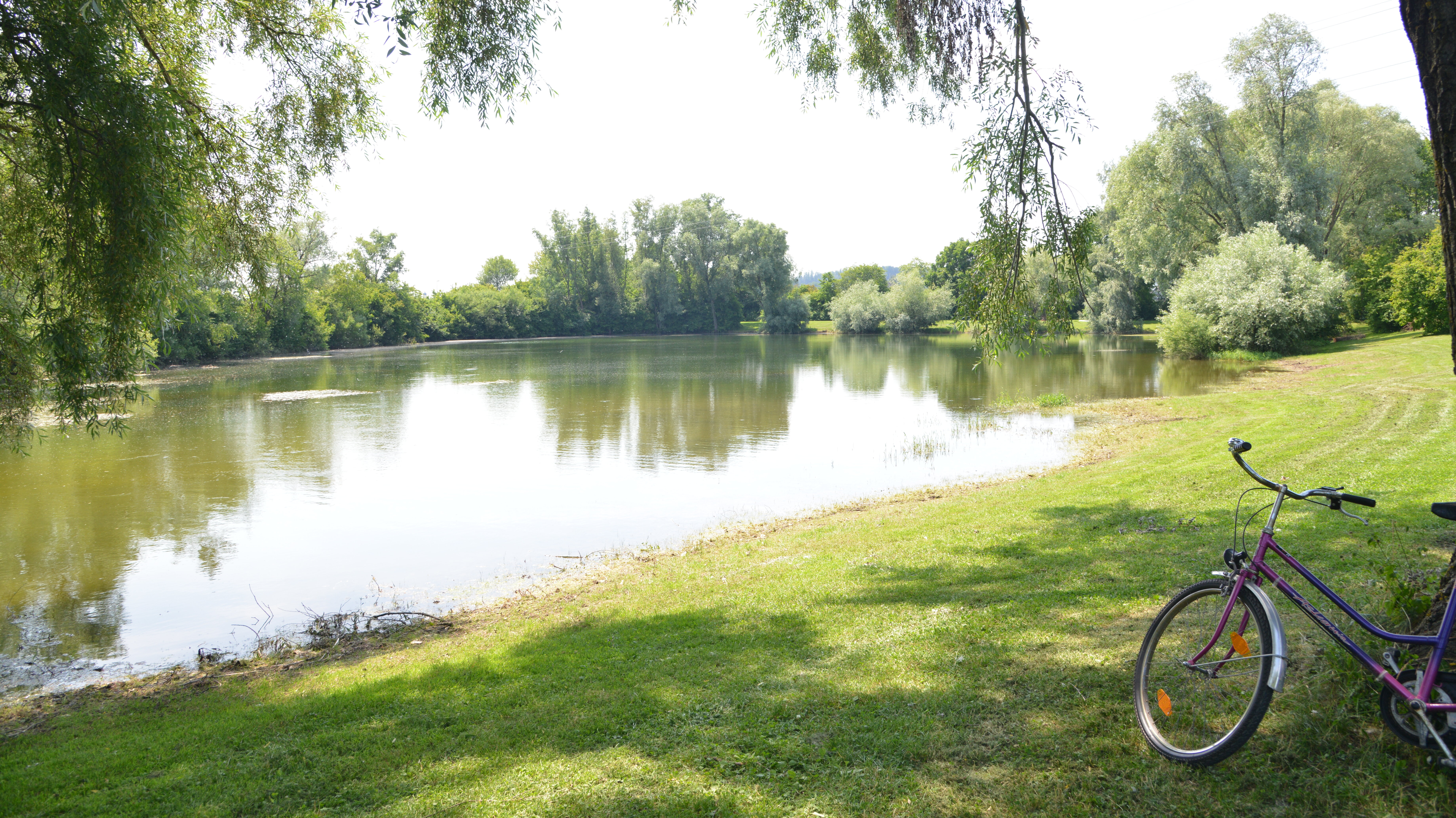 Badesee mit Liegewiese; am rechten Bildrand lehnt ein Fahrrad am Baum