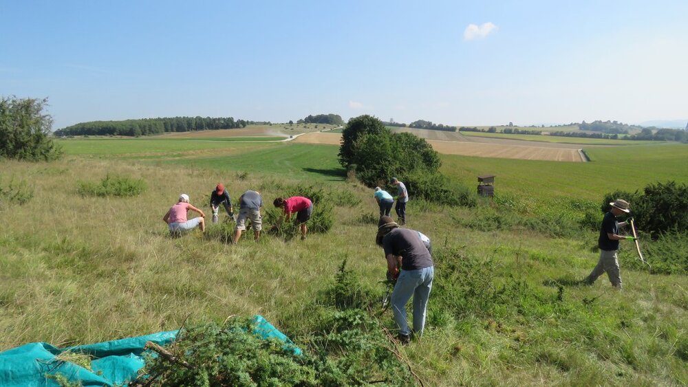 Menschen kümmern sich um die Heidepflege 