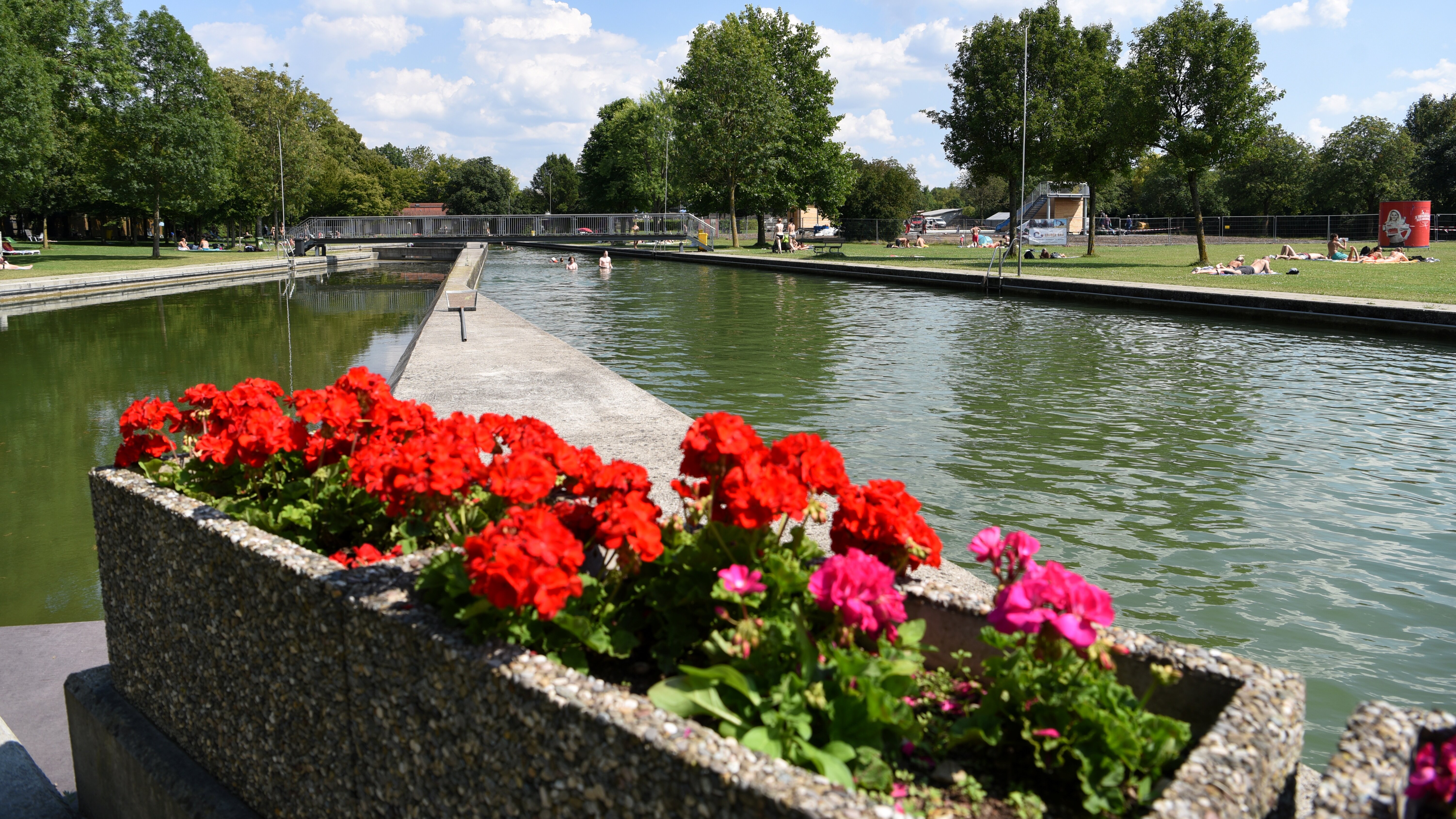 Die Kaufbach-Nebenbecken im Fribbe