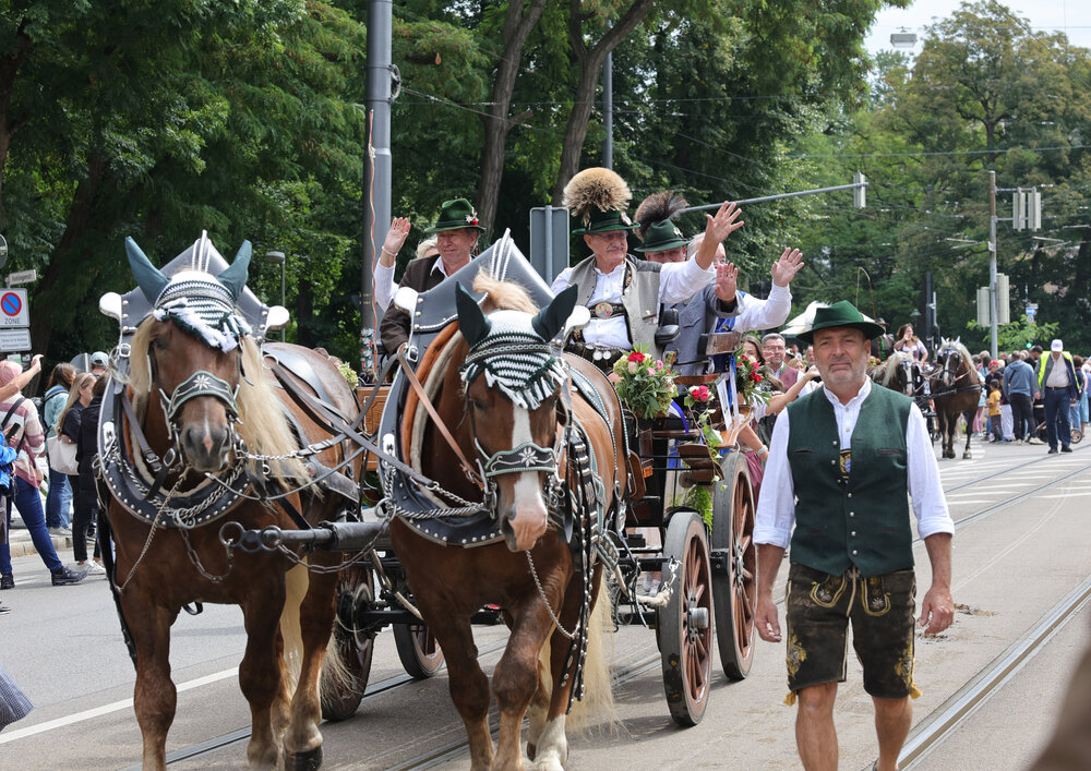 Pferdekutschen auf dem Festumzug