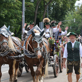 Pferdekutschen auf dem Festumzug