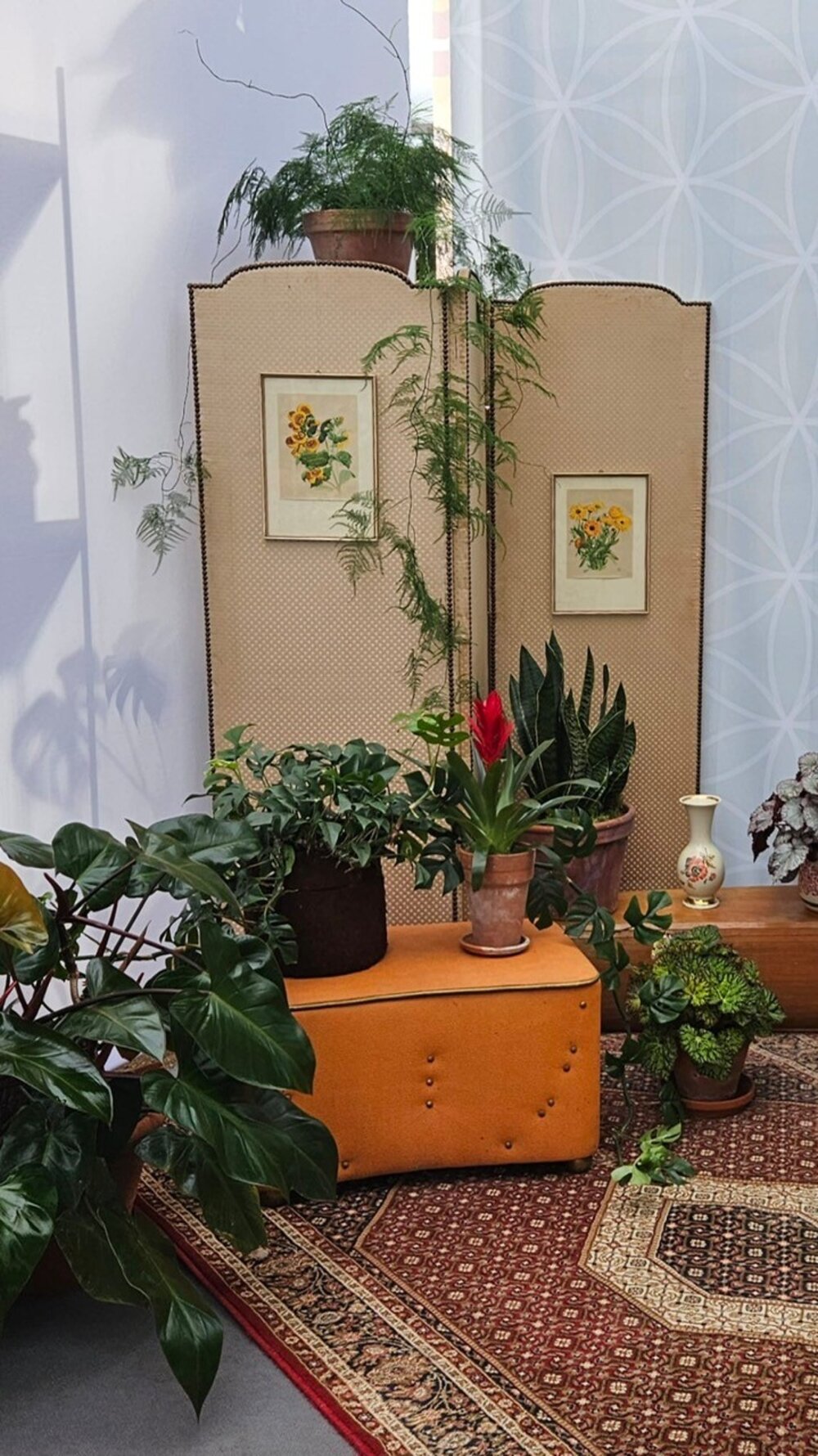 Ausstellung zu Zimmerpflanzen 