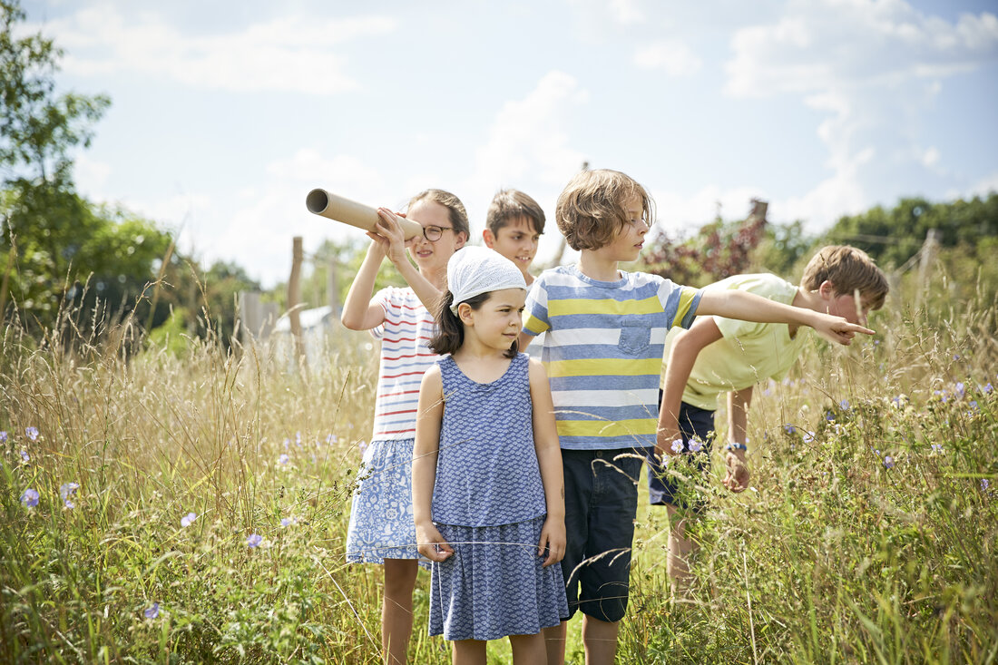 Kinder spielen auf einer Wiese Entdecker