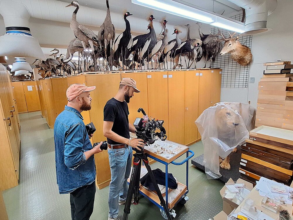 Regisseur Krishan Dietmaier und Kameramann filmen Sammlungsmaterial.