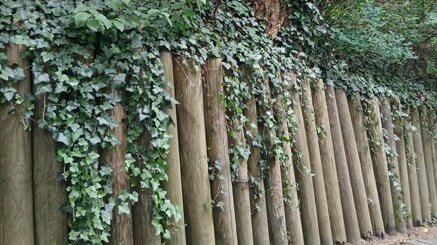 Holzpalisaden stützen einen Hang, auf dem Bäume und Sträucher wachsen