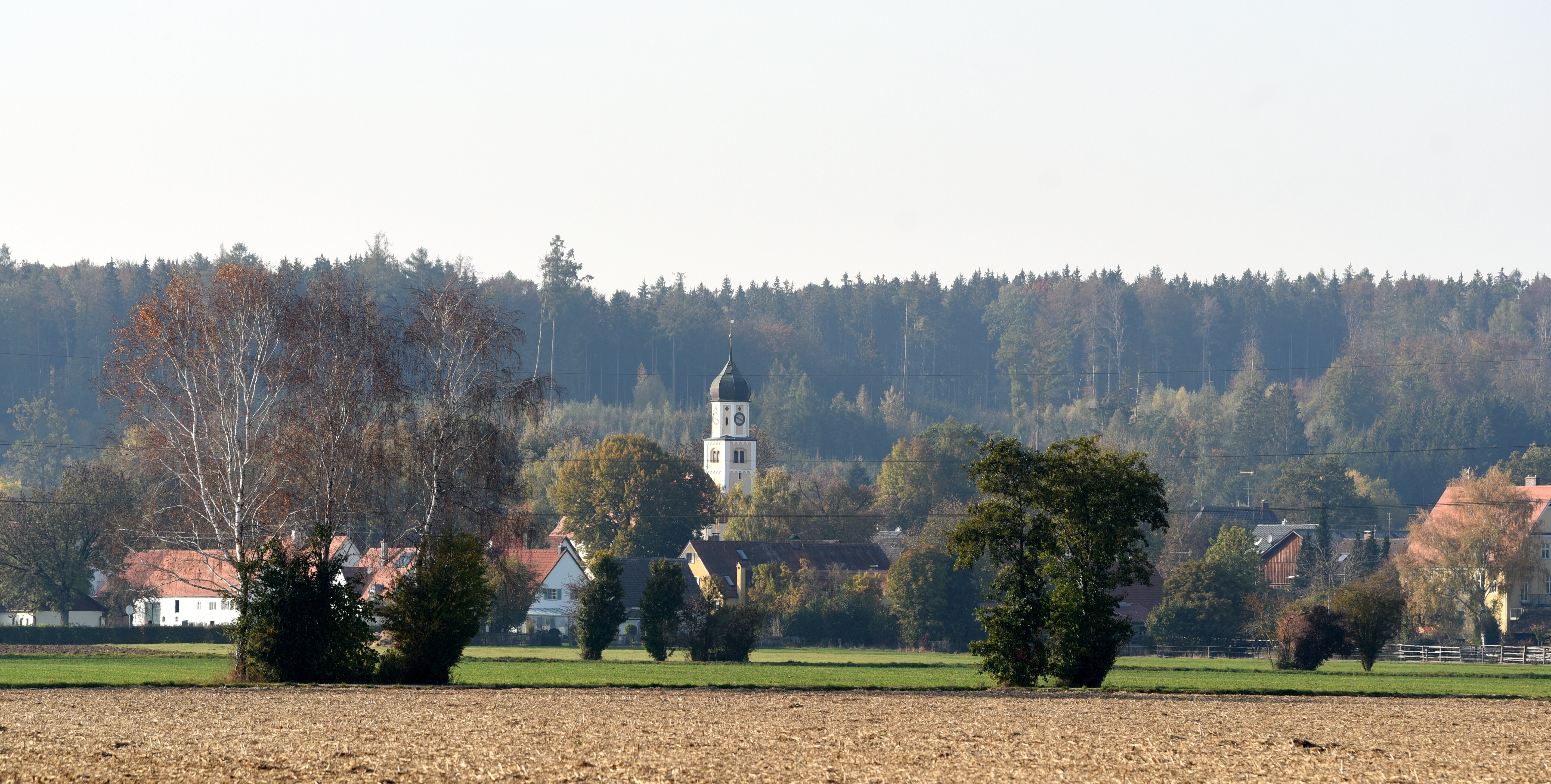Ein Dorf mit Kirchturm. Dahinter ein Wald