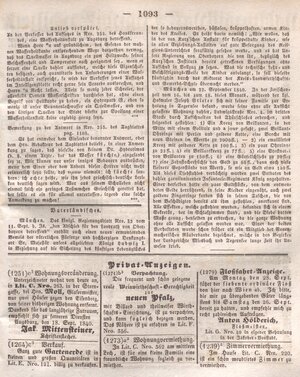 2.3.b Zeitungsannoncen