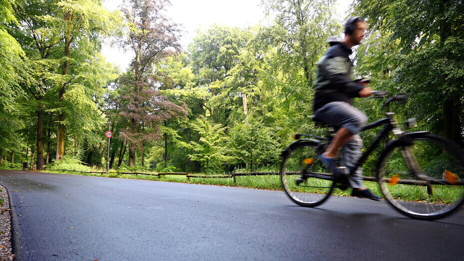 Radfahrer radelt auf der Straße durch den Wald