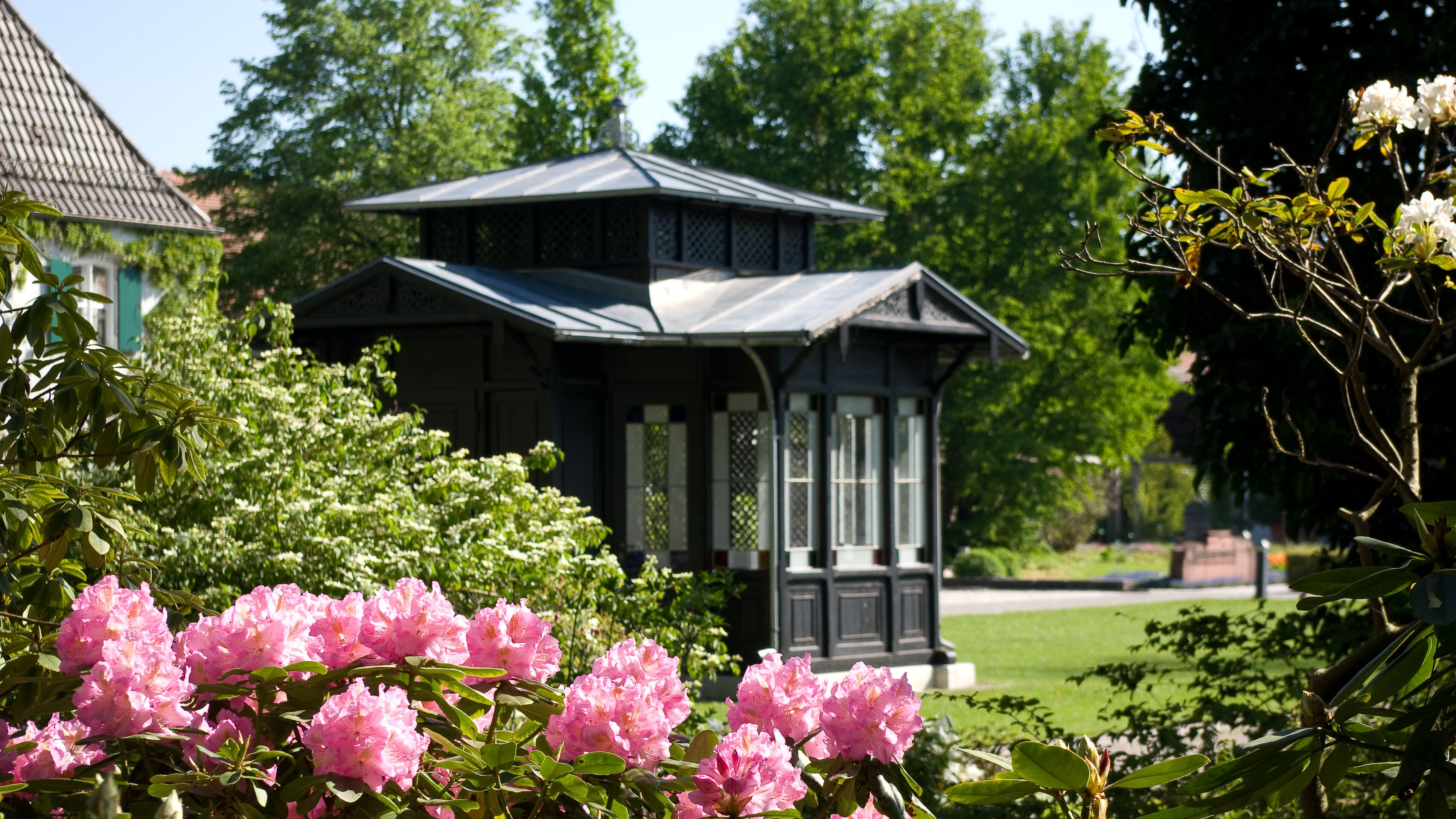 historisches Teehaus aus Holz, davor ein blühender Rhododendron-Busch