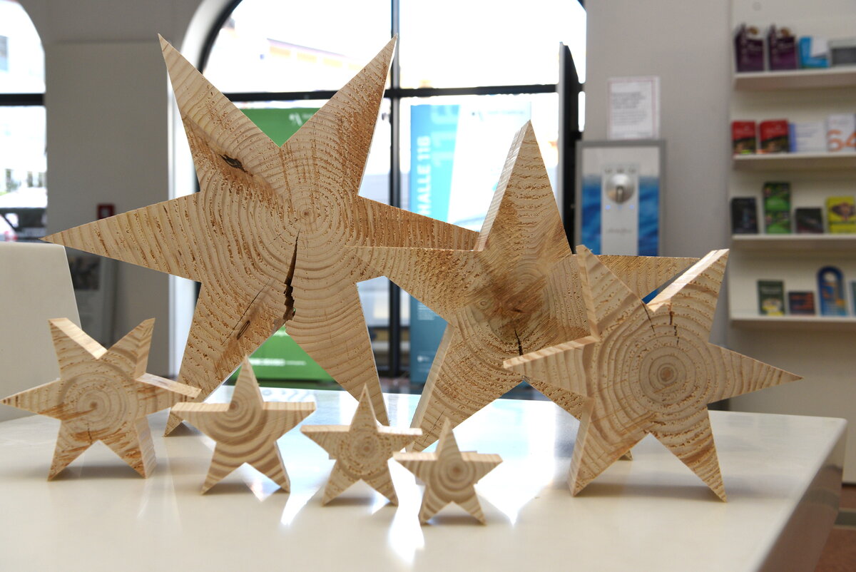 Weihnachtssterne aus dem &bdquo;Christbaum f&uuml;r alle&ldquo;
