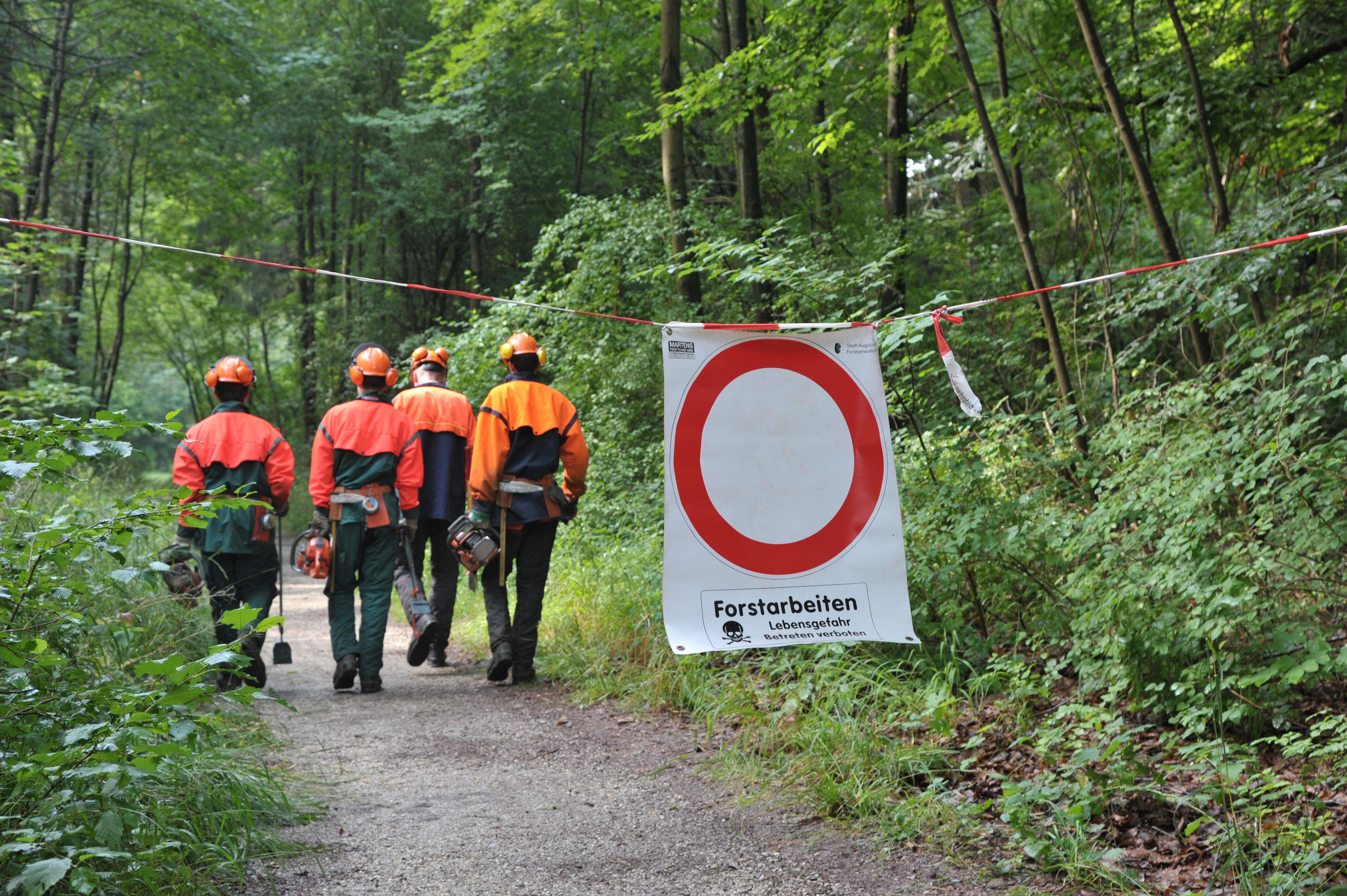 auf einem Waldweg hängt ein "Zutritt verboten"-Schild
