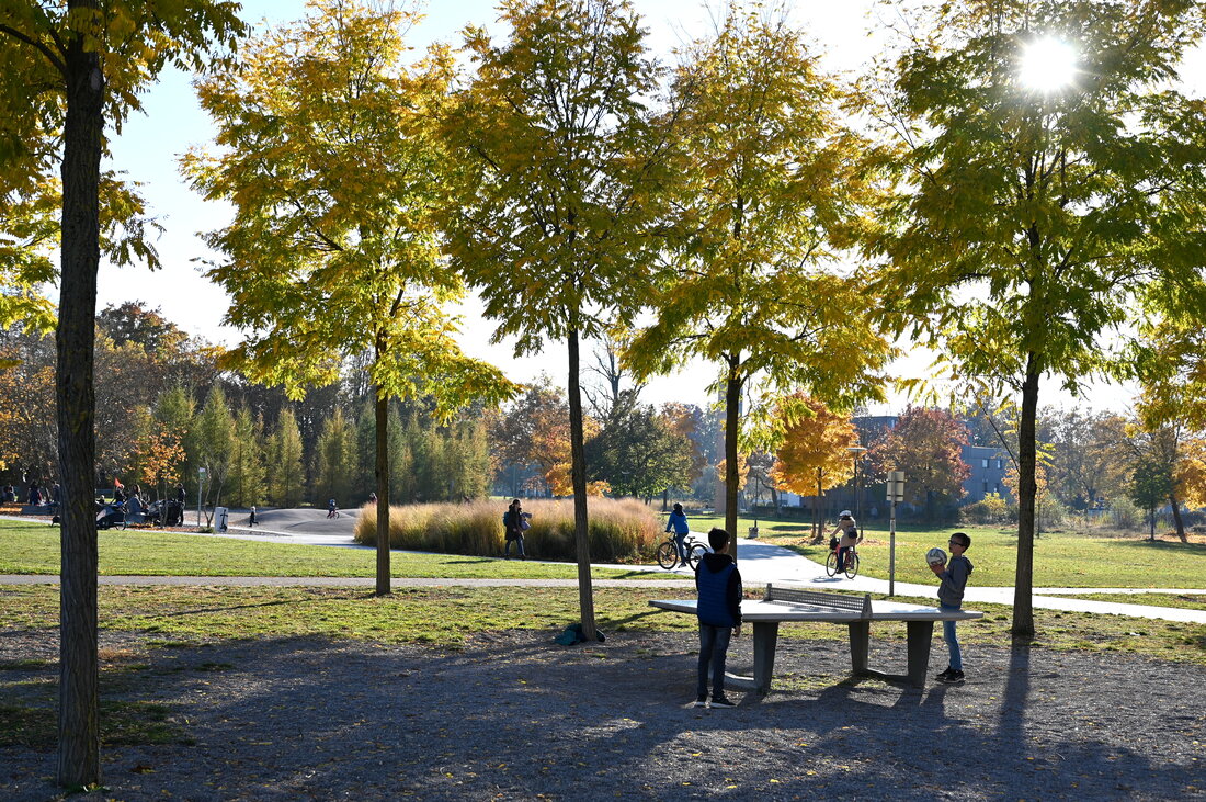 Das Foto zeigt einen Fläche umrandet von vielen Bäumen. In der Mitte ist eine Tischtennisplatte, an der zwei Jungen miteinander spielen.