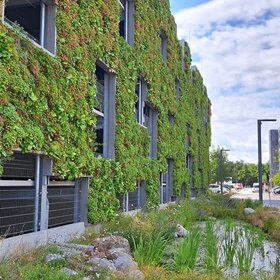 Auf dem Bild ist ein großes Gebäude zu sehen. Dessen Fassade ist komplett mit Pflanzen begrünt.
