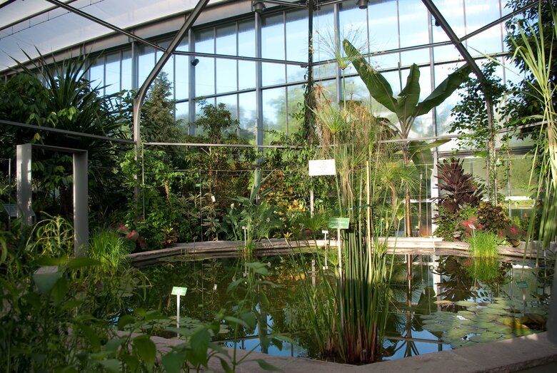 40+ Öffnungszeiten Botanischer Garten Augsburg, Freundeskreis