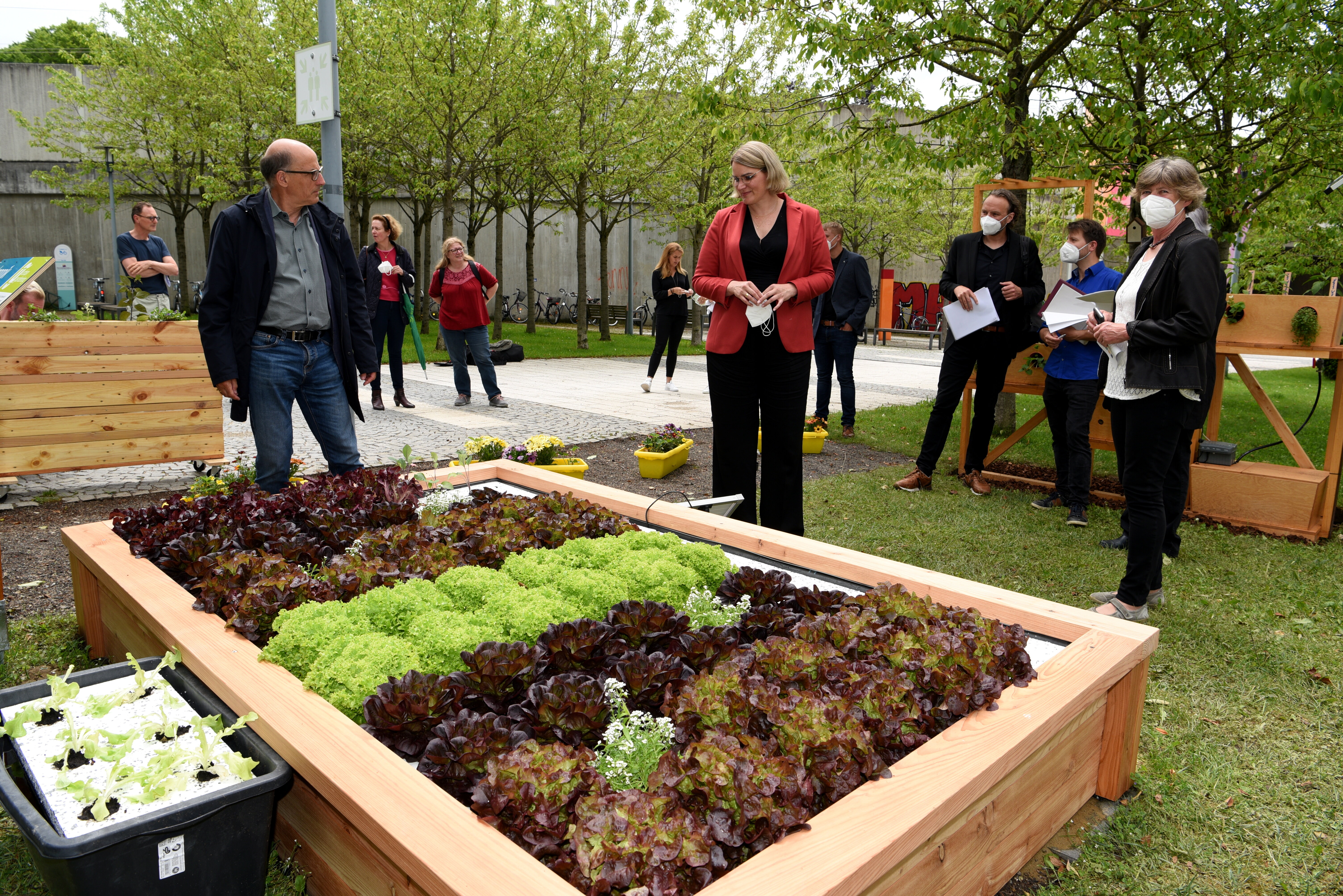 Urban Gardening mit OB Eva Weber und Umweltreferent Reiner Erben an der HSA. Foto: Ruth Plössel/Stadt Augsburg