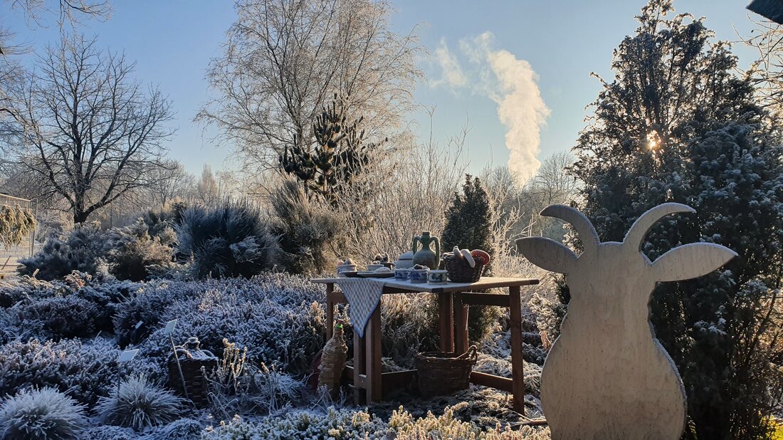 Winterliche Stimmung  mit Eisblumen, eingeschneiten Bäumen und einem gedeckten Tisch 