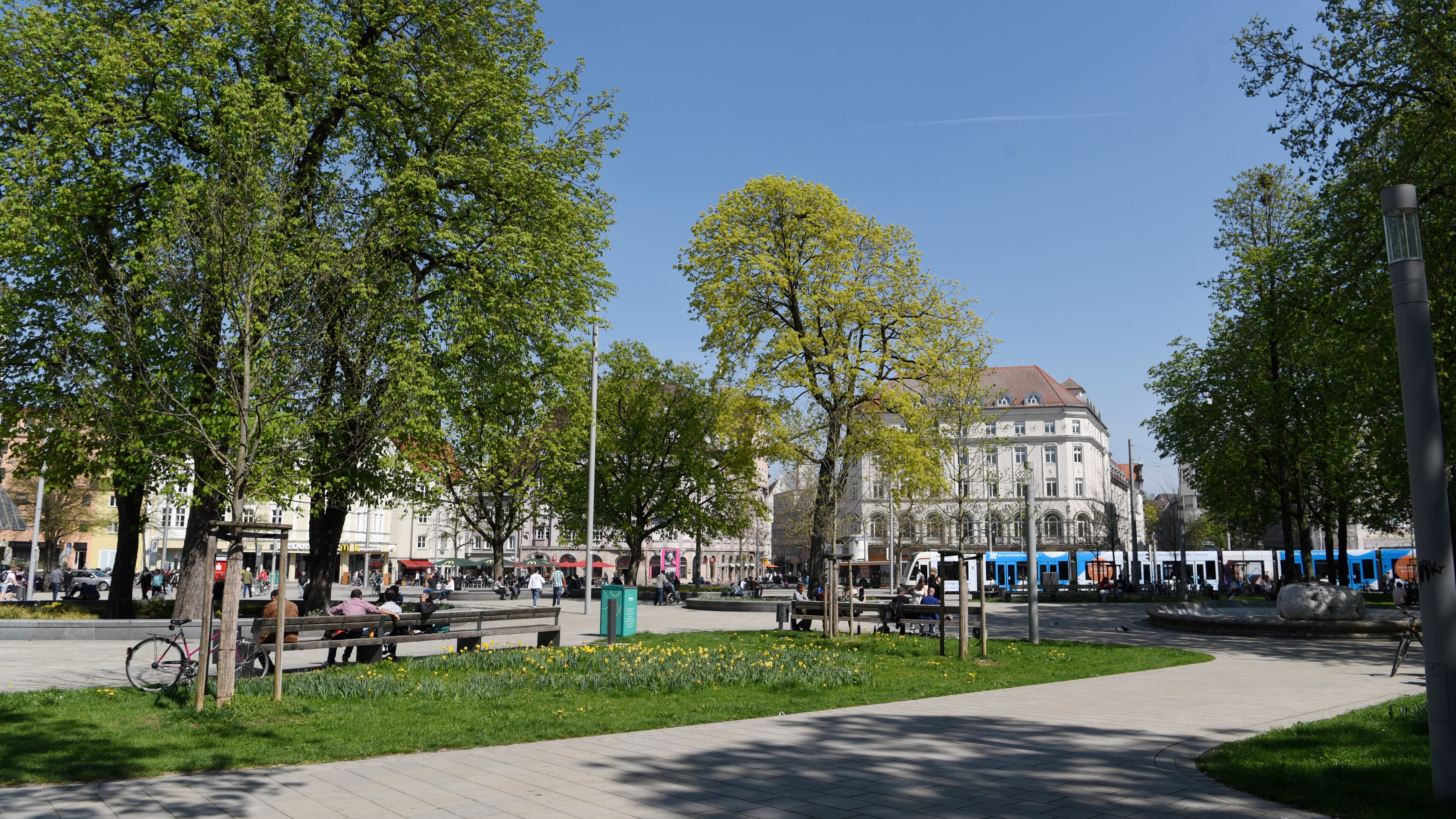 Parkanlage mit großen, belaubten Bäumen am Augsburger Königsplatz
