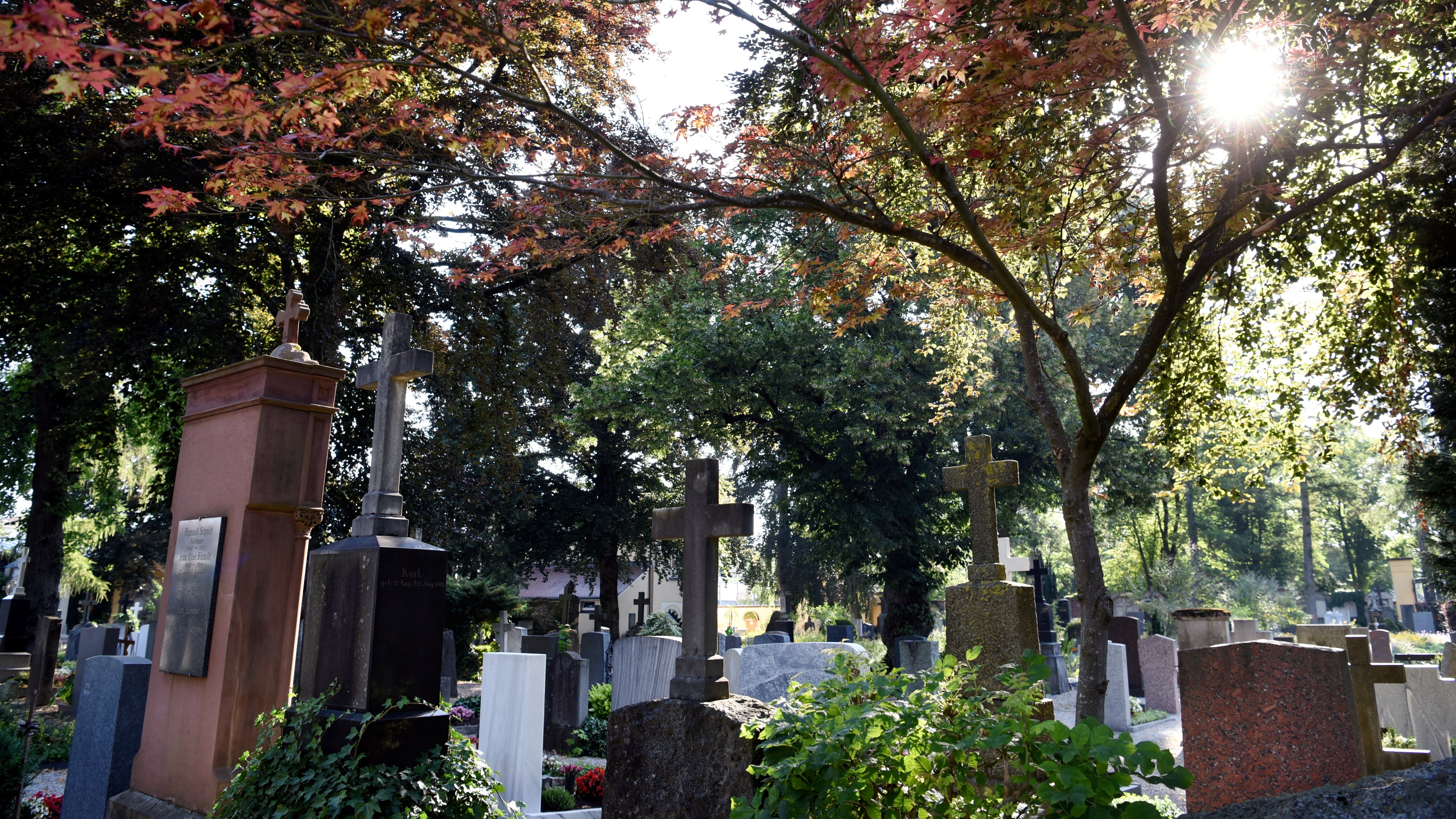 Blick auf herbstlichen Friedhof mit alten Grabmalen