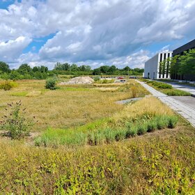 Vor einem modernen Gebäude sind verschiedene Grünflächen zu sehen