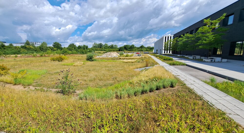 Vor einem modernen Gebäude sind verschiedene Grünflächen zu sehen