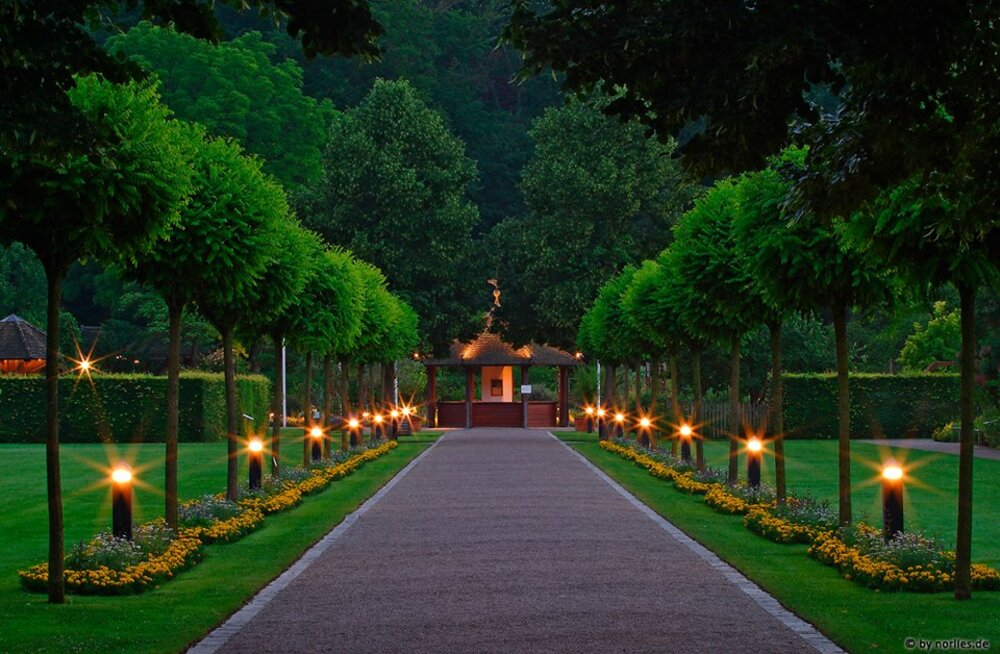 Während der Sommermonate lädt der Botanische Garten zu einem besonders romantischen Erlebnis ein: Vom 28. Juni bis zum 09. August jeweils samstags sowie am Donnerstag, den 14. August wird der Garten romantisch illuminiert und bleibt bis 24:00 Uhr geöffnet. 