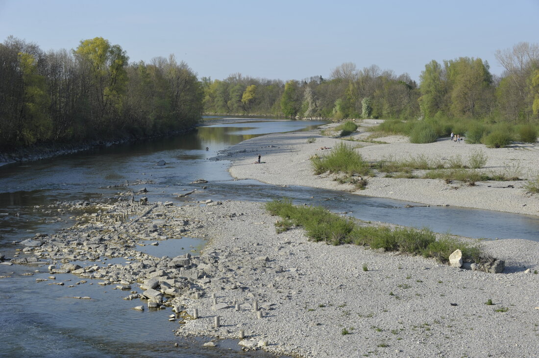 Kiesbänke in einem Fluss. Am Ufer stehen viele Bäume.