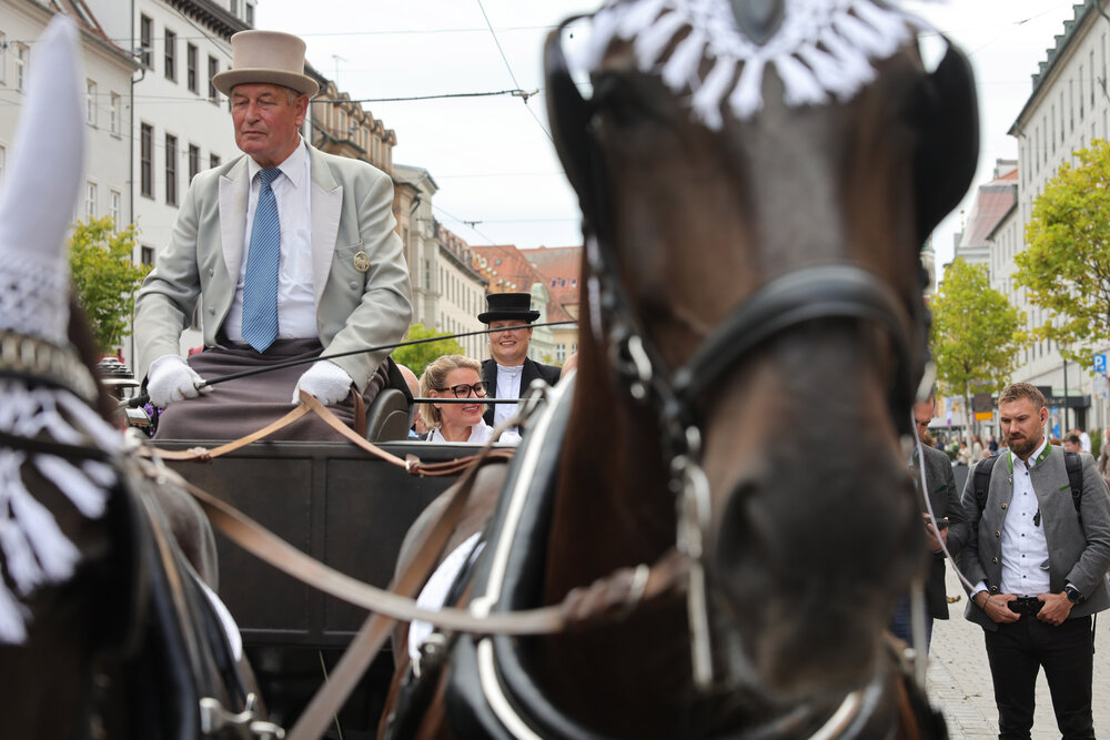 Pferdekutschen beim Festumzug