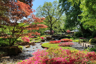 Japanischer Garten von 18. bis 20. April geschlossen