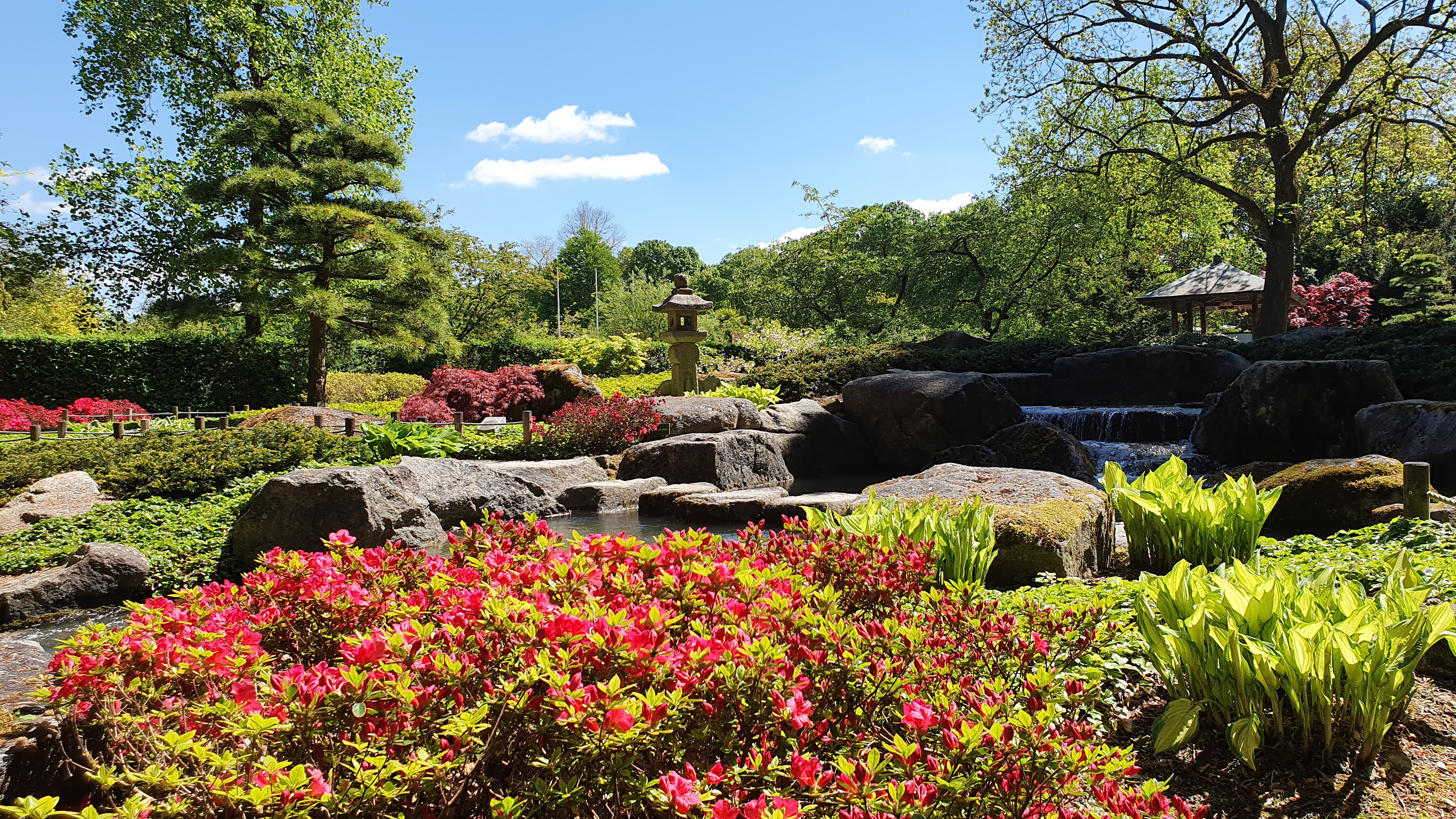Viele Blumen blühen im Botanischen Garten. Im Hintergrund sind japanische Elemente zu sehen
