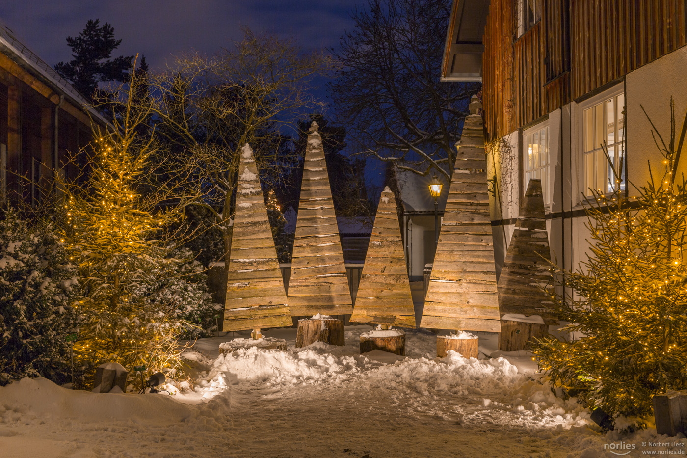 Zauberhafter Advent im Botanischen Garten