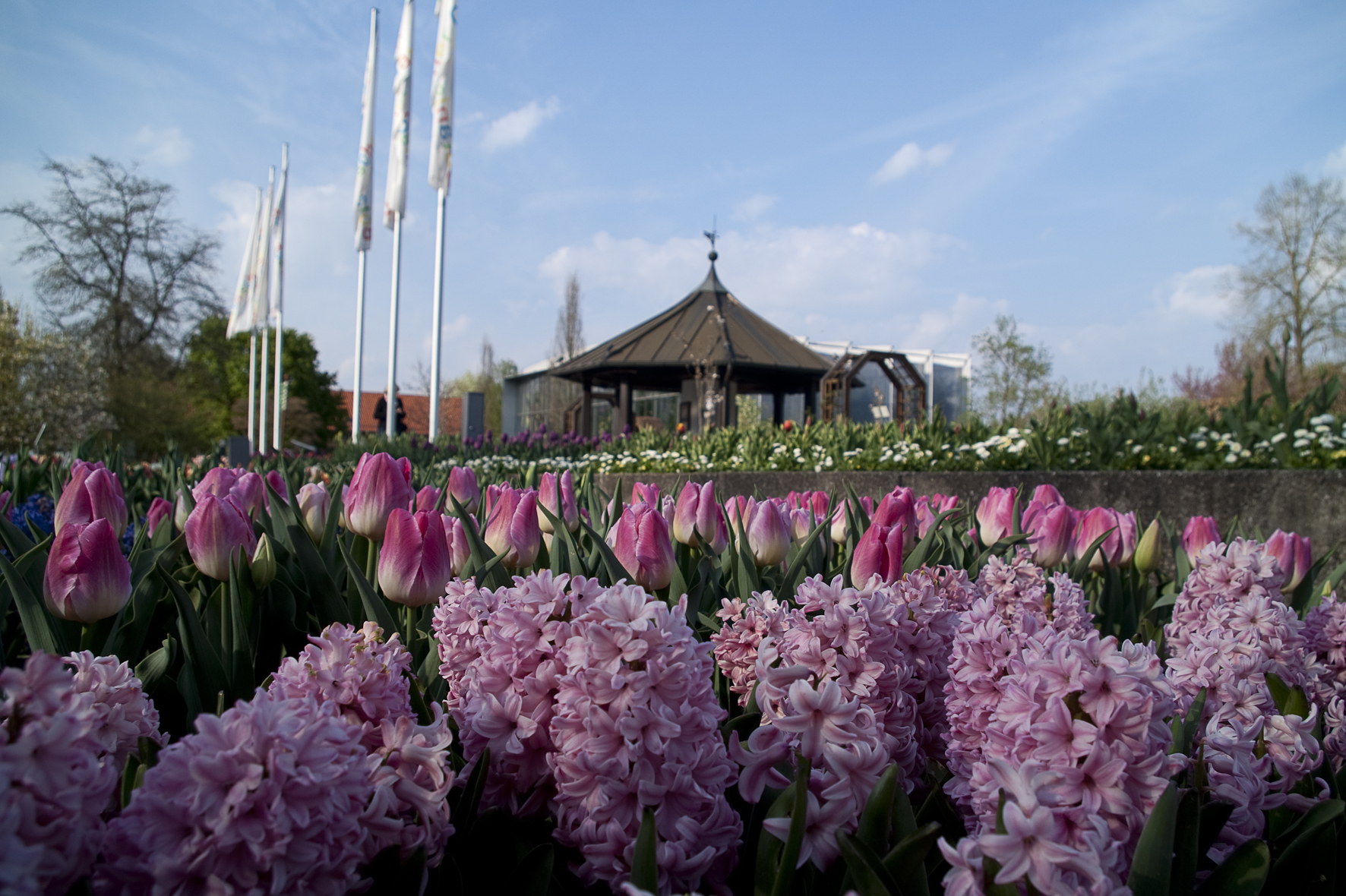 Jahresprogramm 2023 Botanischer Garten Augsburg