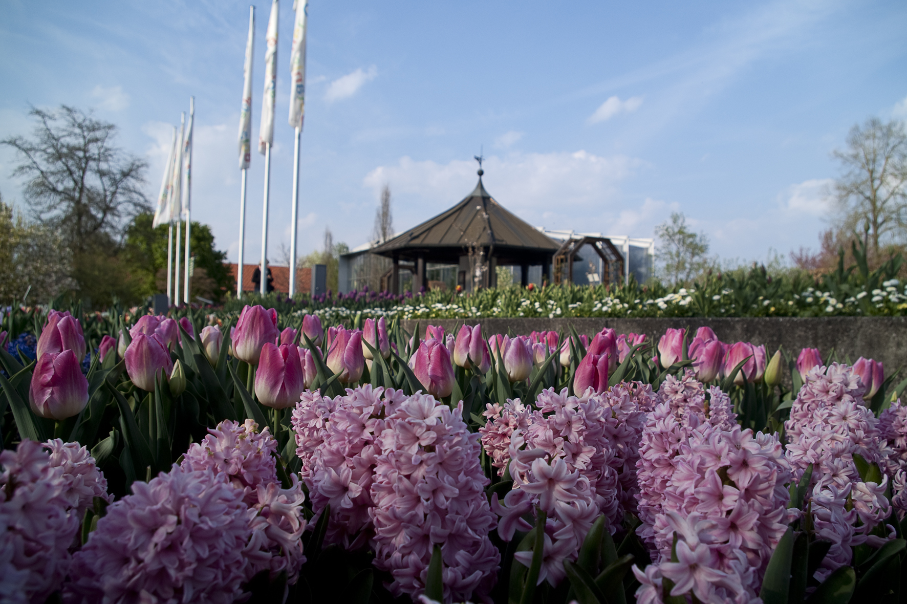 Jahresprogramm 2023 Botanischer Garten Augsburg Jahresprogramm 2023 Botanischer Garten Augsburg