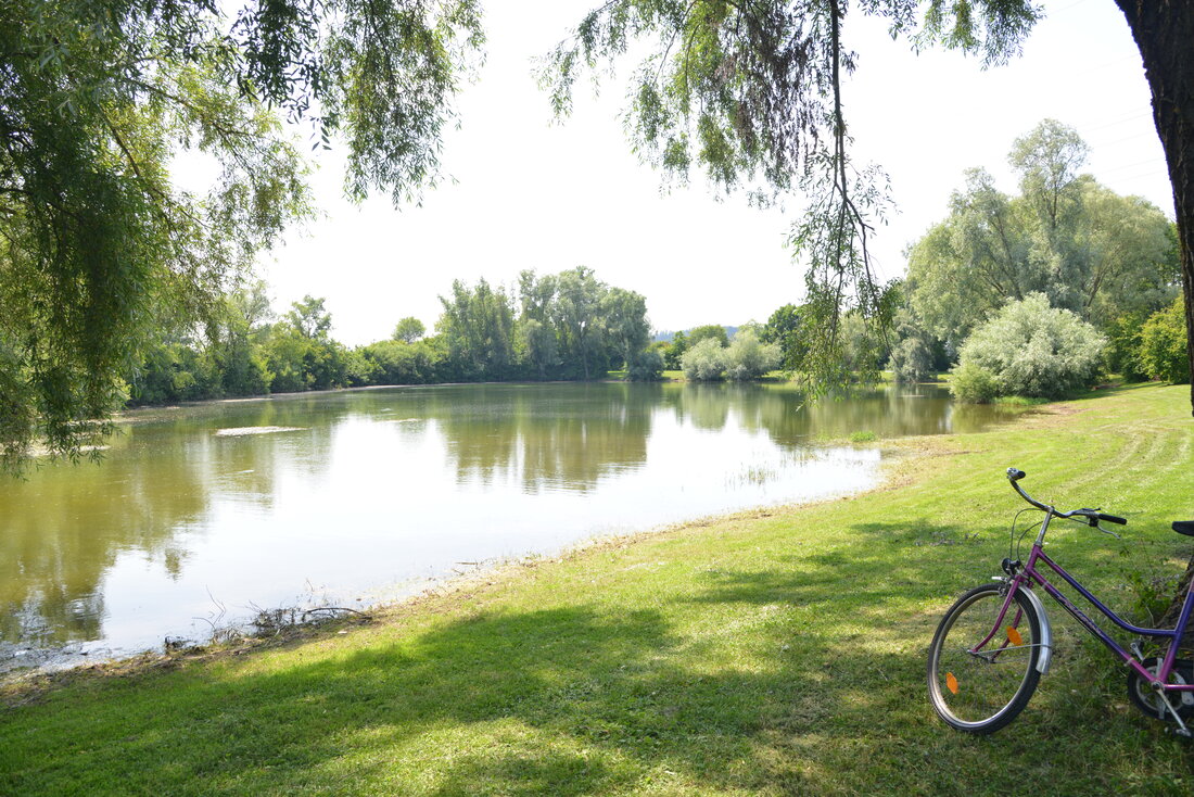 Naturaufnahme des Bergheimer Baggersees