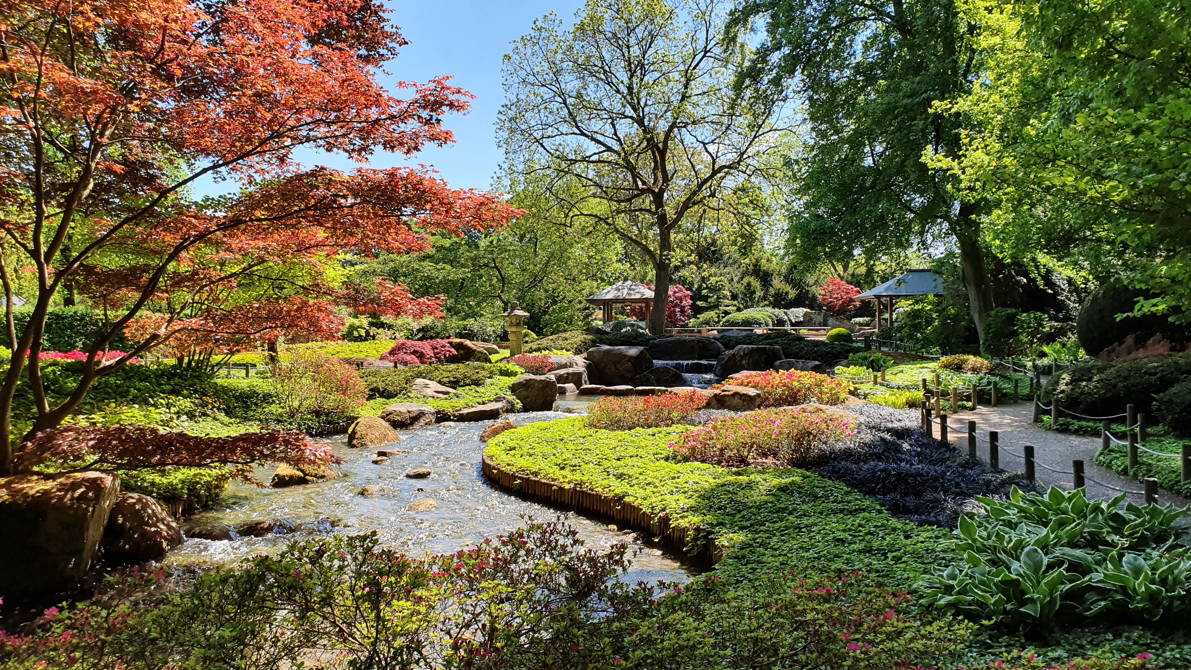 Japanischer Garten im Frühling