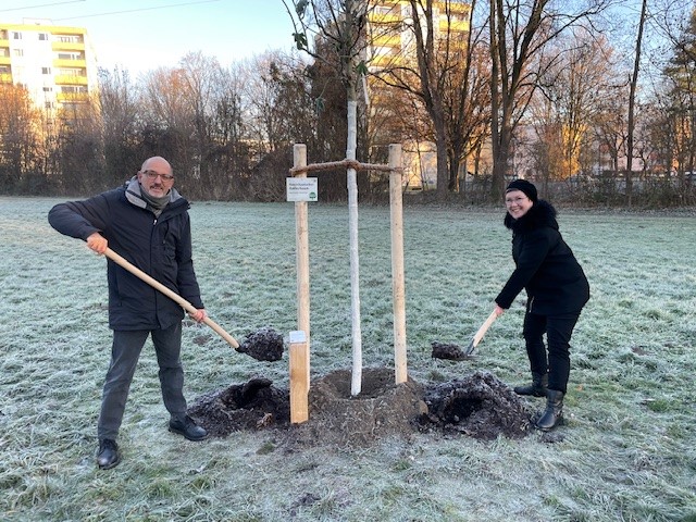 Ein Mann und eine Frau pflanzen einen Baum auf einer Wiese