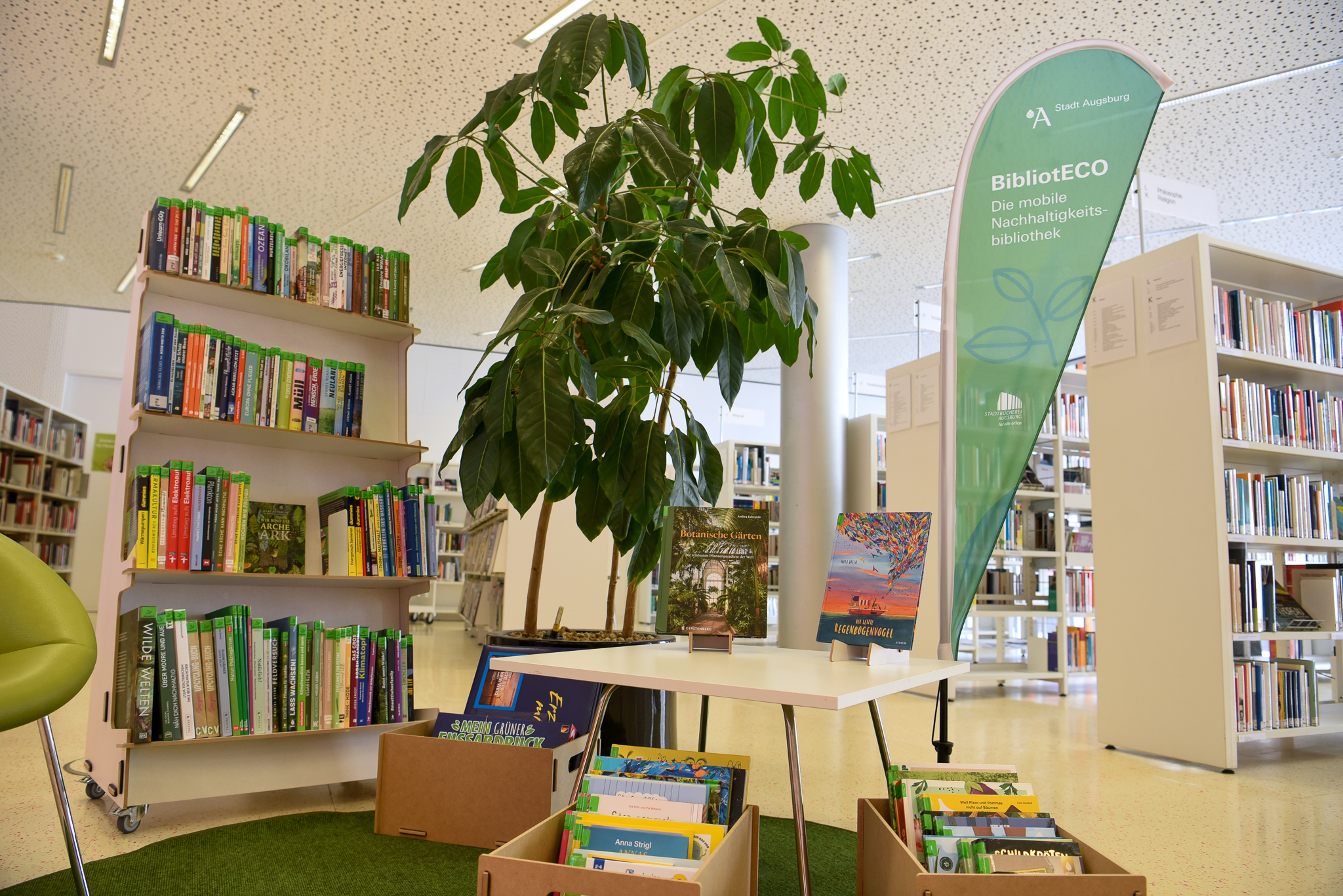 Regal mit Büchern und einem Aufsteller "BibliotECO"