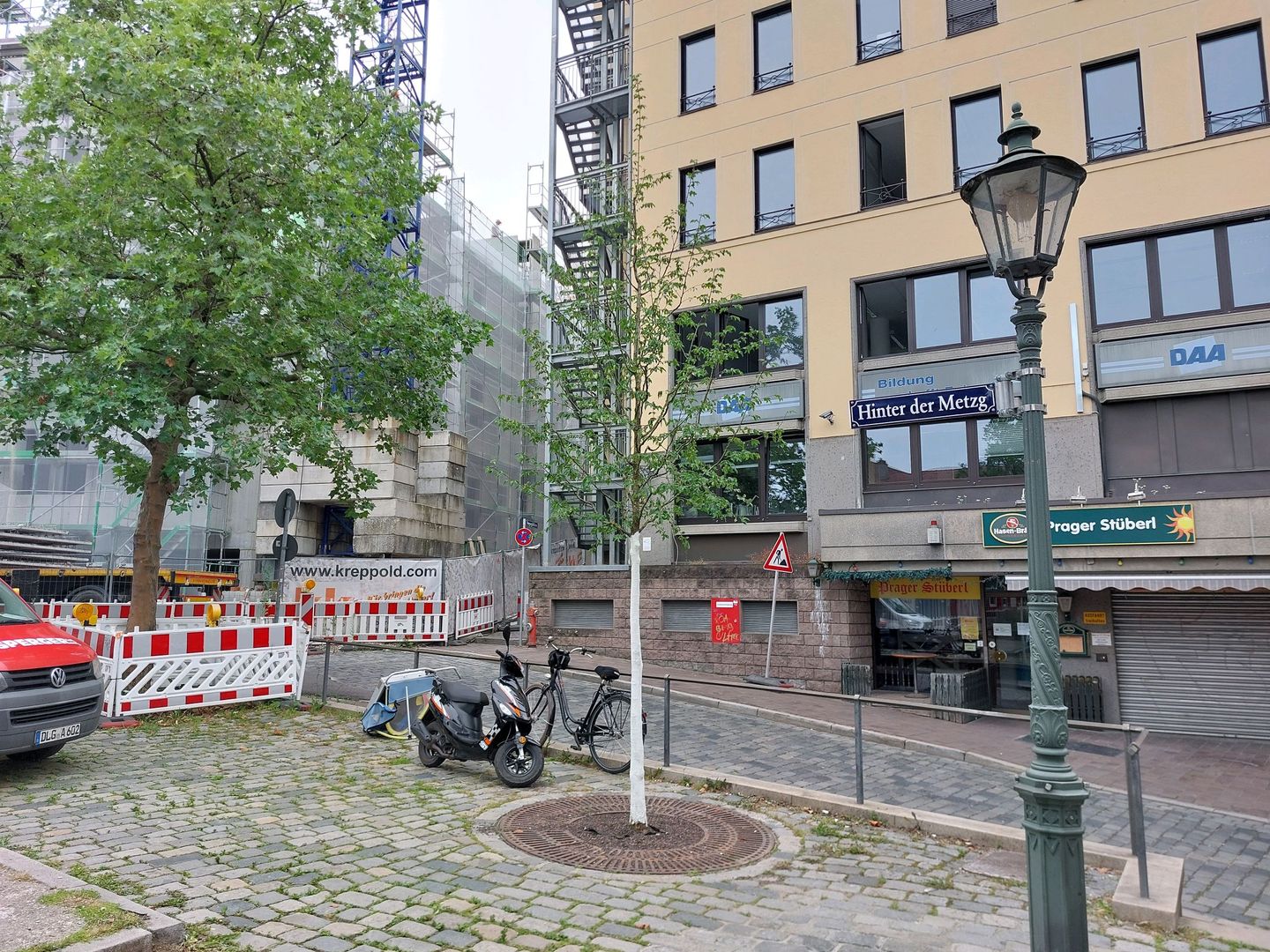 vor einer Häuserzeile steht ein frisch gepflanzter Jungbaum