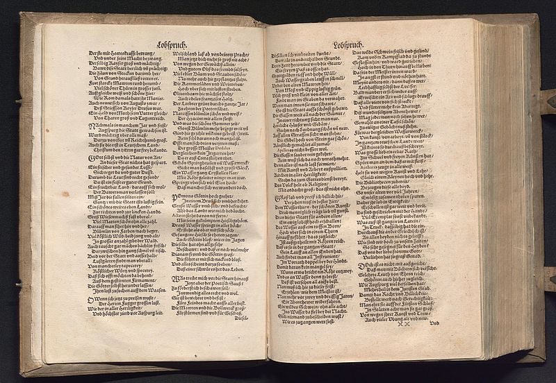 Bericht des Salomon Frenzel über das „Abentewer“ mit einem Wildschwein im Augsburger Wasserturm 1563; Marx Welser d. J., „Chronica Der Weitberüempten Keyserlichen Freyen und deß H. Reichs Statt Augspurg…“ (Augsburg 1595), S. XX; Band, Papier mit Schweinsledereinband, Metallschließen, Blind- und Goldprägung, 110 + 282 + 144 + 97 S., 32 cm h x 23 cm b x 5,5 cm t; Stadtarchiv Augsburg, Bibliothek, Rep. AB Aug. Hist. 03/3.