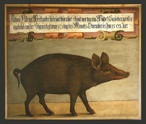 Abbildung der Anno 1563 im Wasserturm gefangenen und erlegten Wildsau; undatiert [1563]; naturalistisches Ölgemälde im Wasserturm am Roten Tor mit Inschrift auf Bildtafel, 28,5 cm h x 33,5 cm b; Foto: Mario Felkl, Stadtarchiv Augsburg.