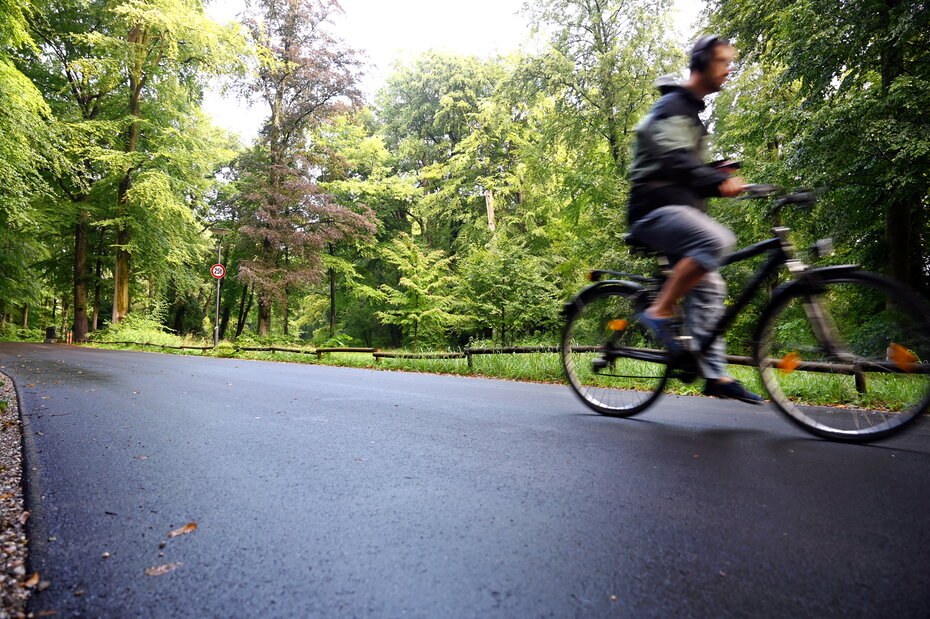Radfahrer radelt auf der Straße durch den Wald