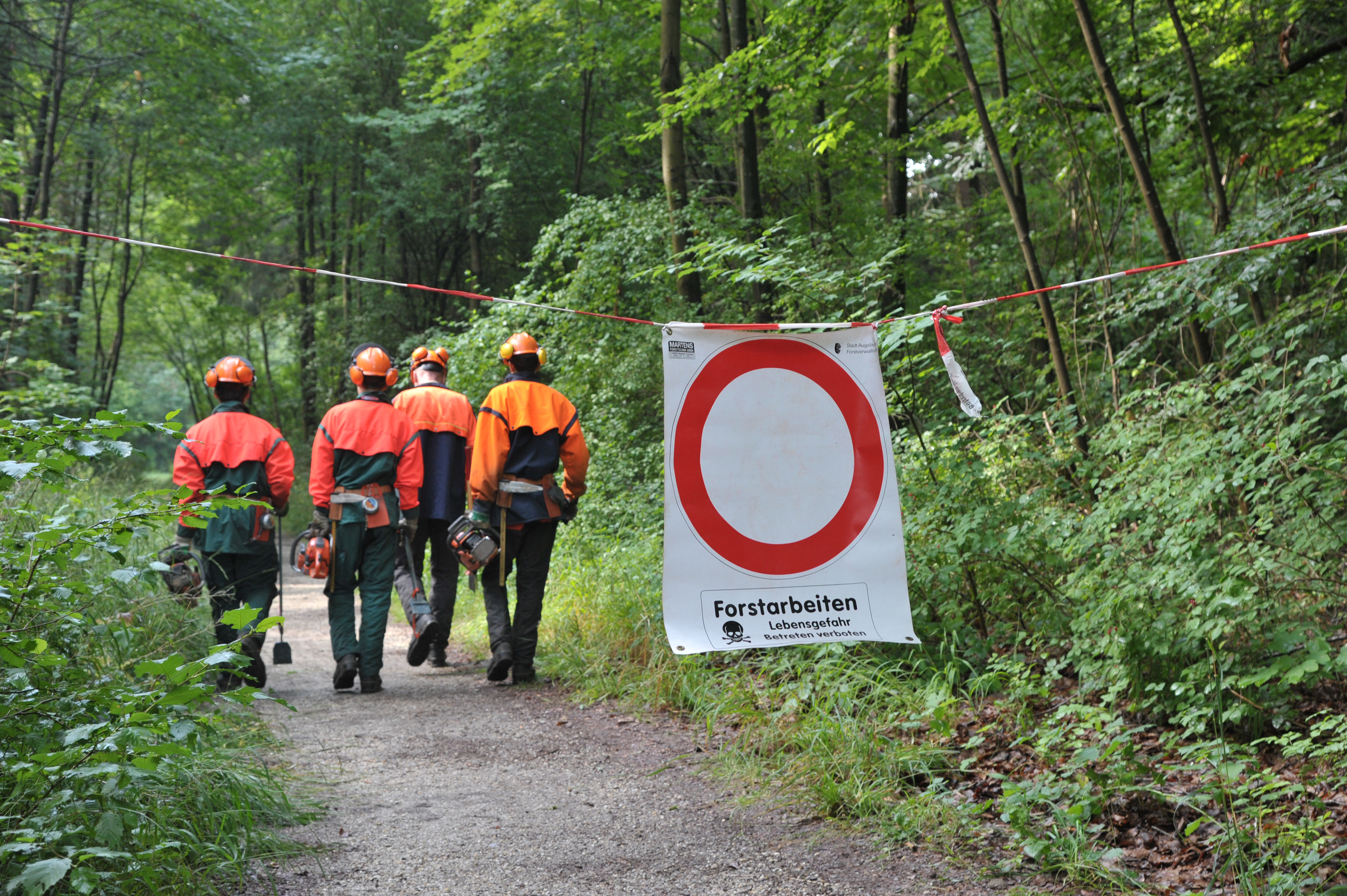 auf einem Waldweg hängt ein "Zutritt verboten"-Schild
